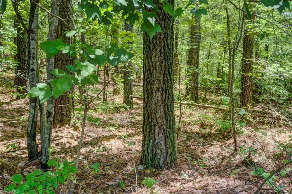00 Garrett Road Stoneville, NC 27048