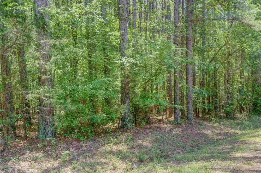 00 Garrett Road Stoneville, NC 27048