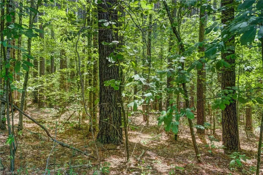 00 Garrett Road Stoneville, NC 27048