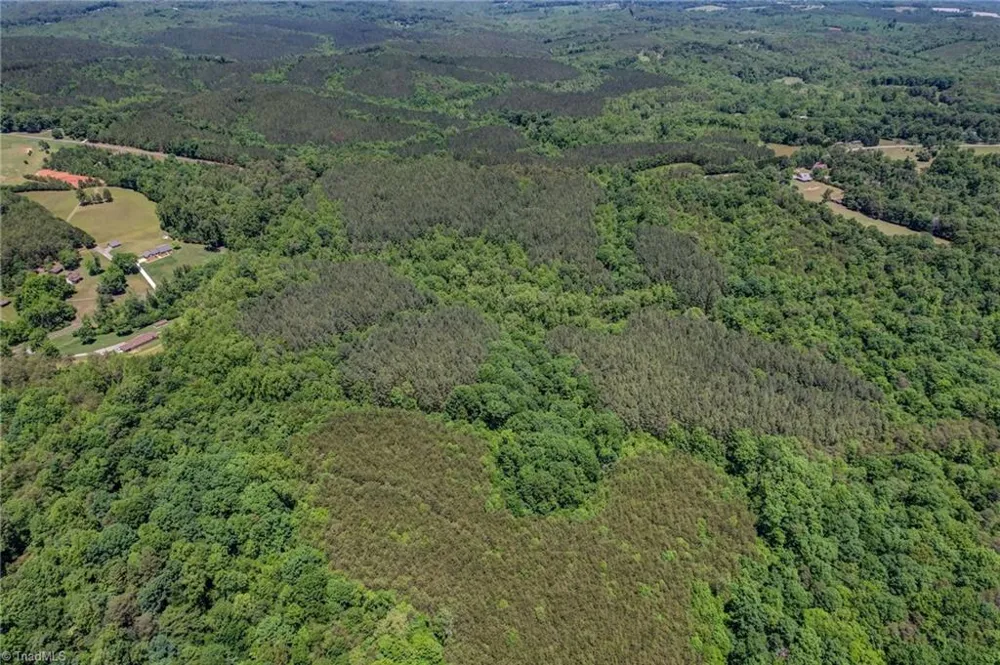 00 Garrett Road Stoneville, NC 27048