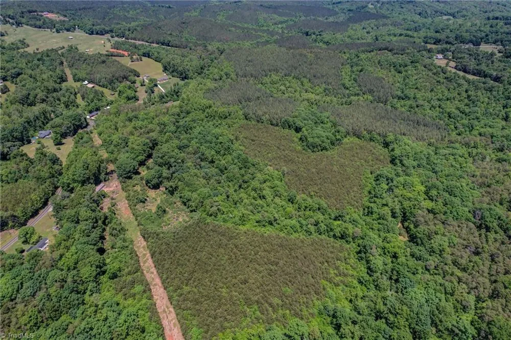 00 Garrett Road Stoneville, NC 27048