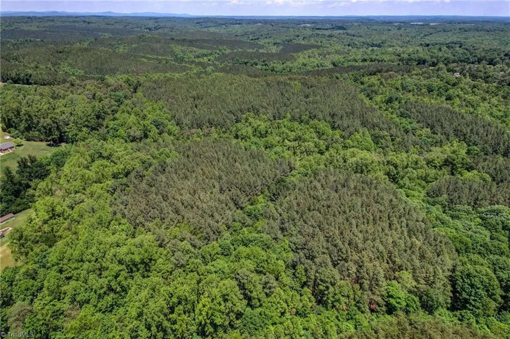 00 Garrett Road Stoneville, NC 27048