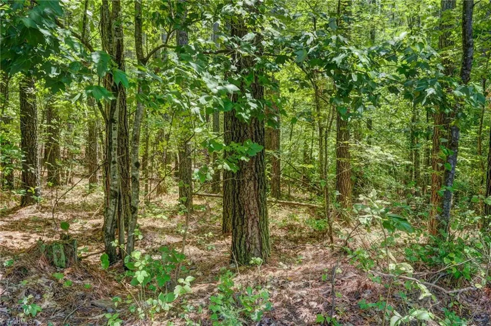 00 Garrett Road Stoneville, NC 27048