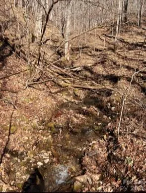 1873 Unahala Creek Drive Bryson City, NC 28713