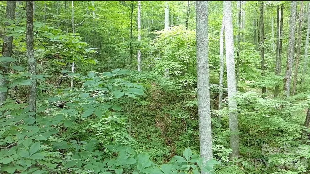 1873 Unahala Creek Drive Bryson City, NC 28713