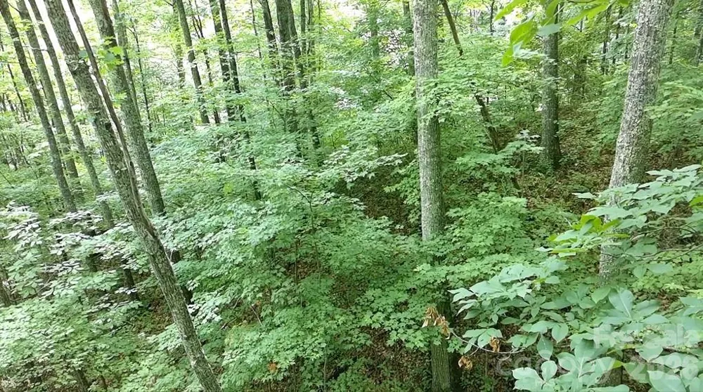 1873 Unahala Creek Drive Bryson City, NC 28713