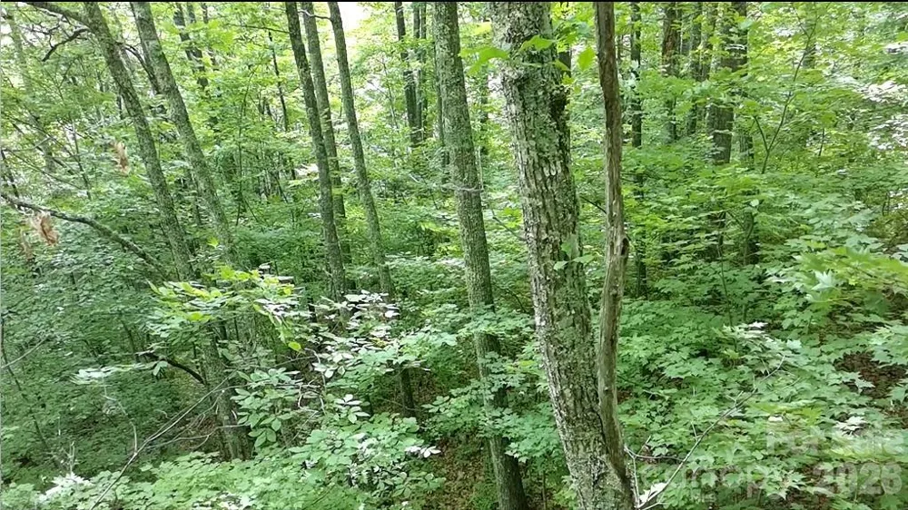 1873 Unahala Creek Drive Bryson City, NC 28713