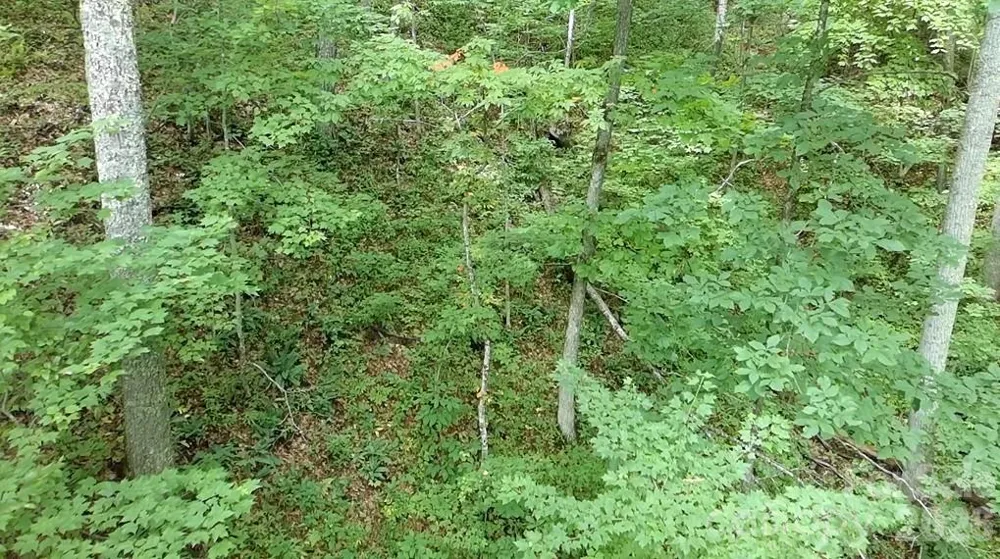 1873 Unahala Creek Drive Bryson City, NC 28713