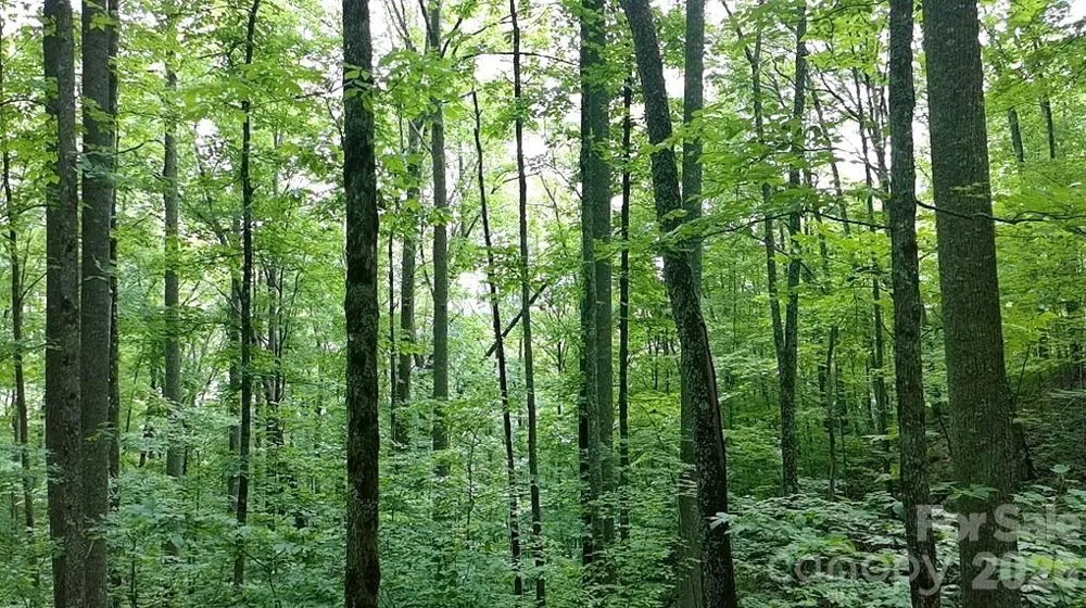 1873 Unahala Creek Drive Bryson City, NC 28713