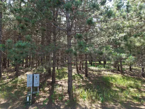 1115 Sunset, Unit 32 Loop