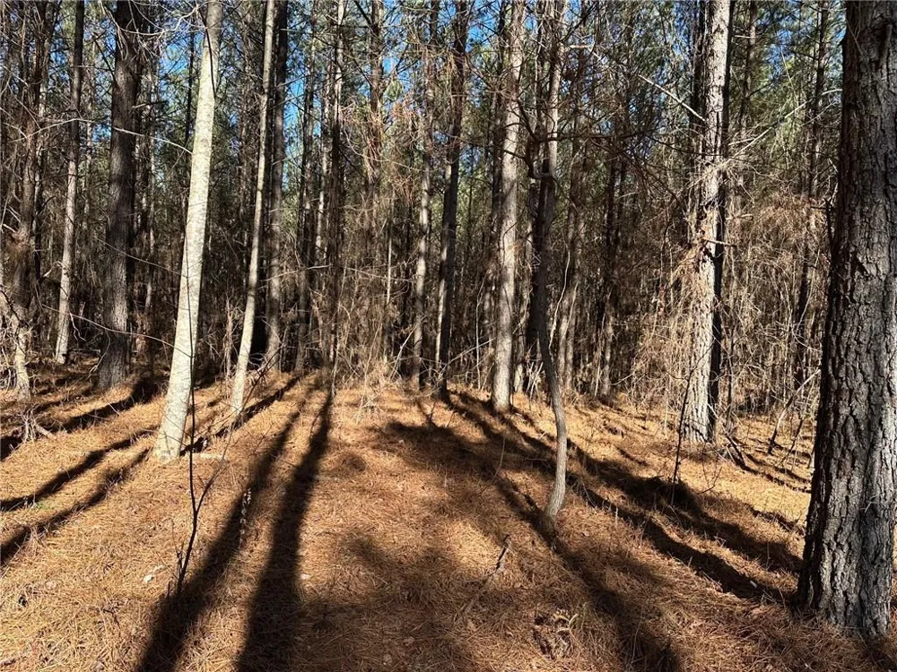1107 Larmon Forks Road Dahlonega, GA 30533
