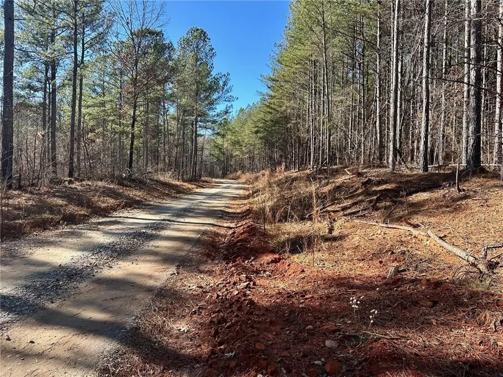 1107 Larmon Forks Road Dahlonega, GA 30533