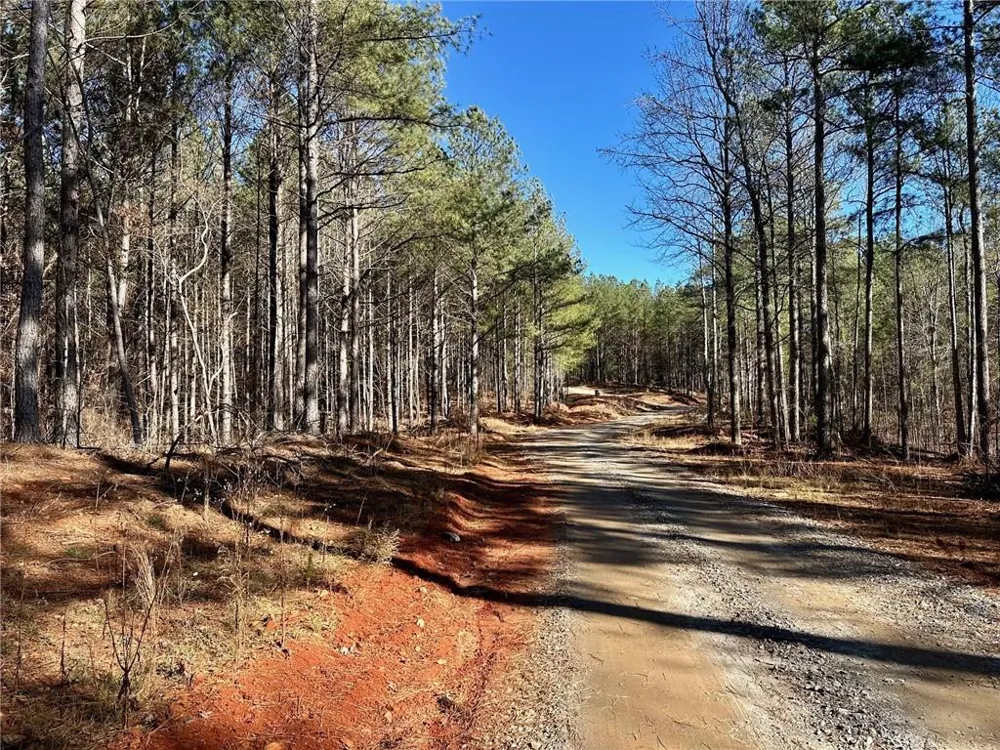 1107 Larmon Forks Road Dahlonega, GA 30533