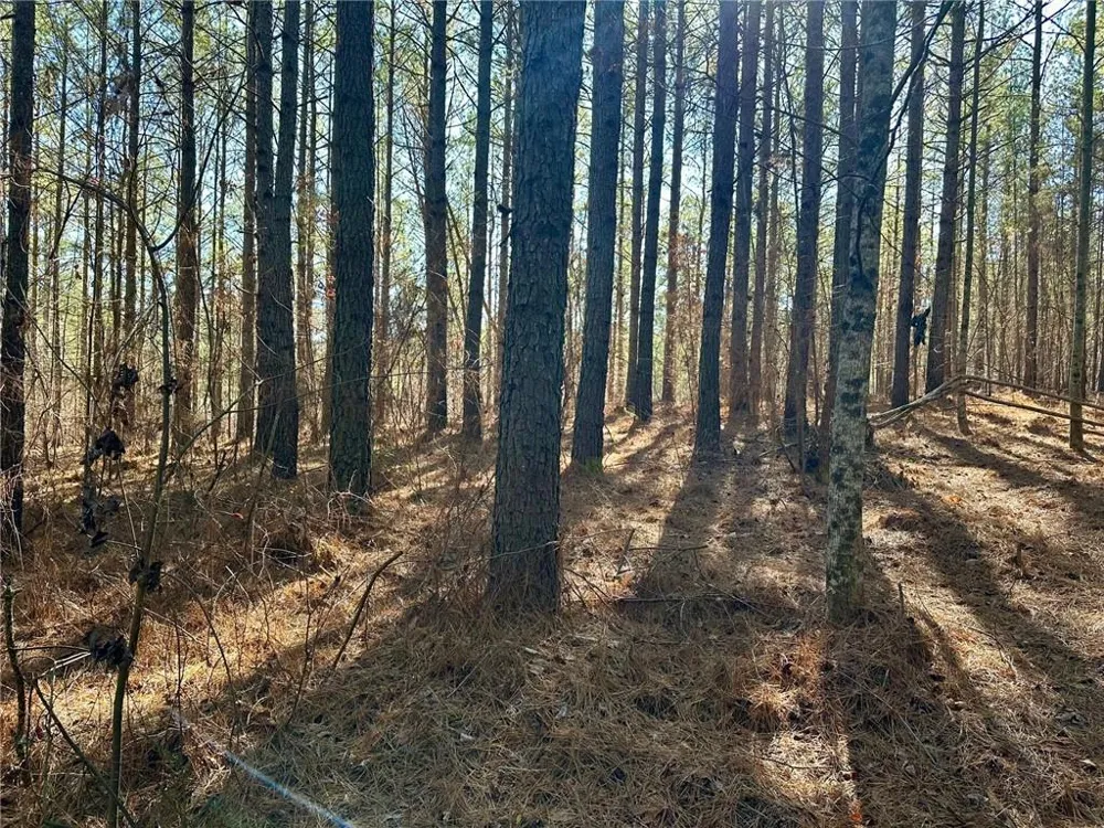 1107 Larmon Forks Road Dahlonega, GA 30533