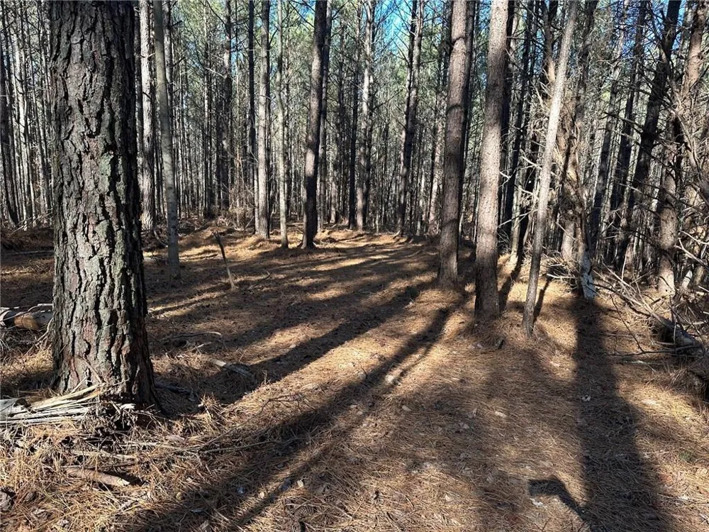 1107 Larmon Forks Road Dahlonega, GA 30533