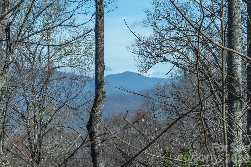 1279 Arborcrest Way #38 Swannanoa, NC 28778