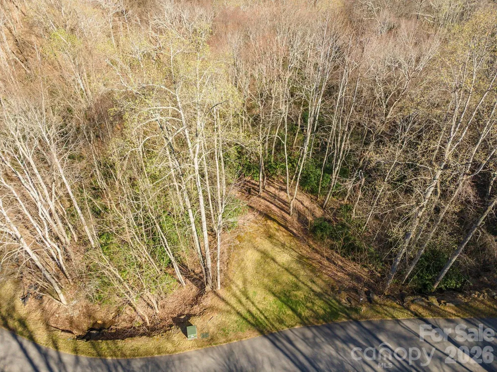 1279 Arborcrest Way #38 Swannanoa, NC 28778