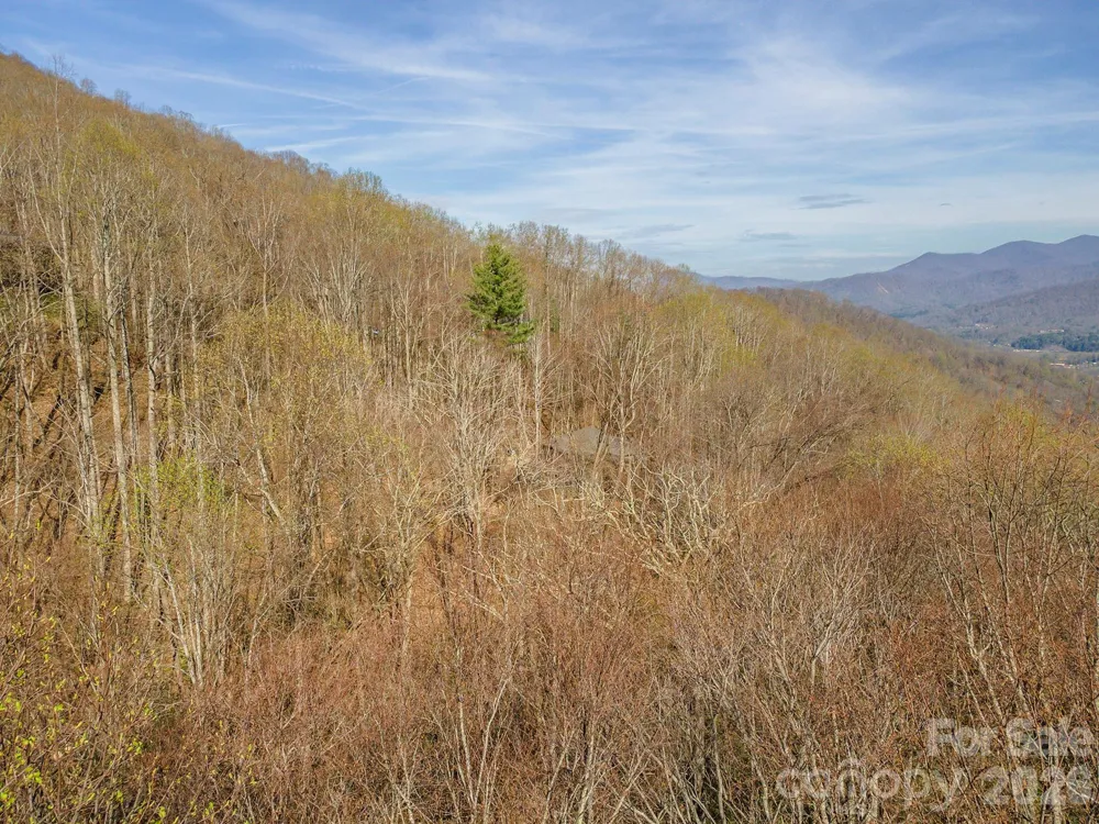 1279 Arborcrest Way #38 Swannanoa, NC 28778