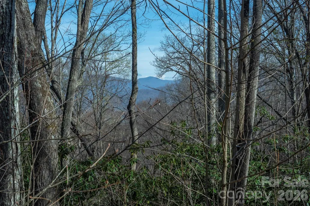 1279 Arborcrest Way #38 Swannanoa, NC 28778