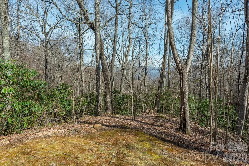 1279 Arborcrest Way #38 Swannanoa, NC 28778