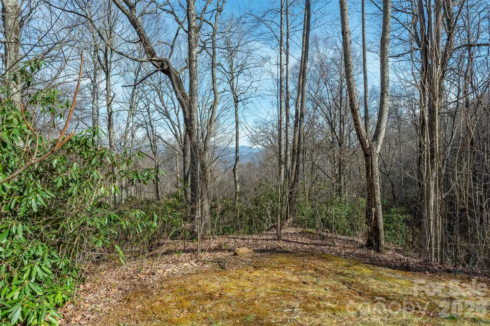 1279 Arborcrest Way #38 Swannanoa, NC 28778