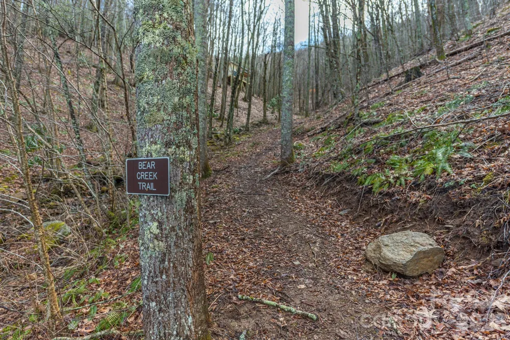 1279 Arborcrest Way #38 Swannanoa, NC 28778