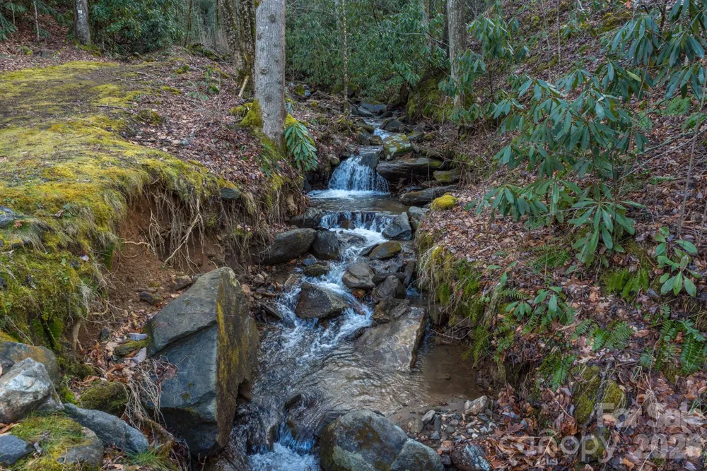 1279 Arborcrest Way #38 Swannanoa, NC 28778