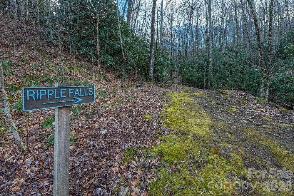 1279 Arborcrest Way #38 Swannanoa, NC 28778