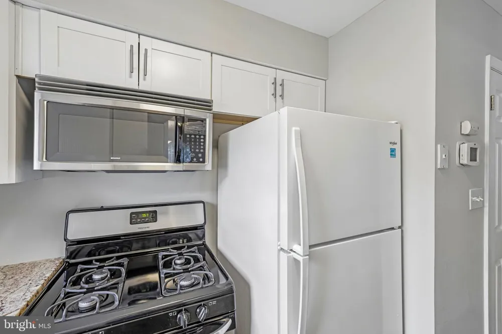 6233 SANDPIPER COURT #1 Elkridge, MD 21075