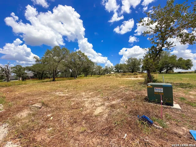 165 Ash Parkway La Vernia, TX 78121
