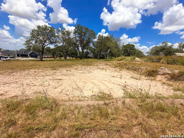 165 Ash Parkway La Vernia, TX 78121