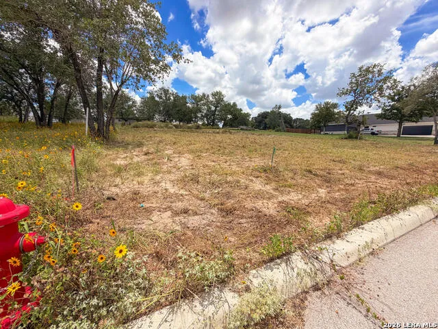 165 Ash Parkway La Vernia, TX 78121