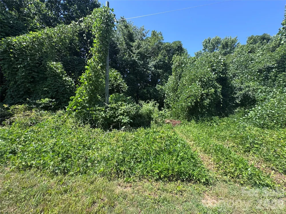000 Miller Avenue Marion, NC 28752