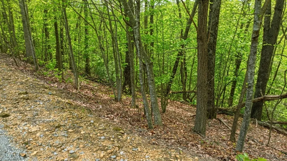273 Tennis Center Drive Smithville, TN 37166