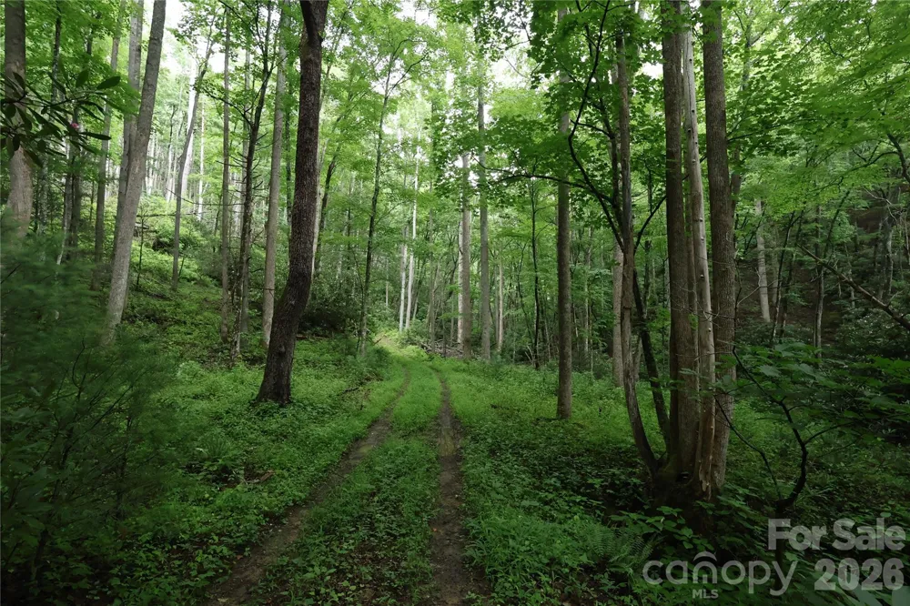 TBD Blowing Rock Road Lenoir, NC 28645