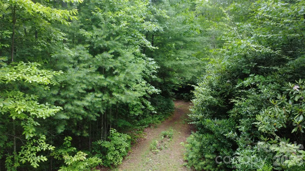 TBD Blowing Rock Road Lenoir, NC 28645