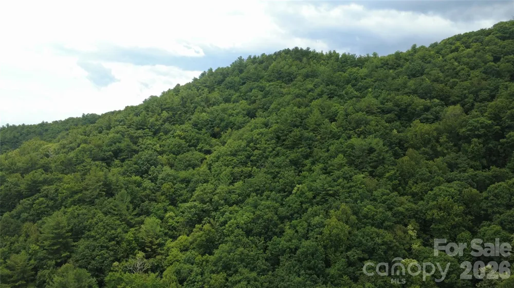 TBD Blowing Rock Road Lenoir, NC 28645