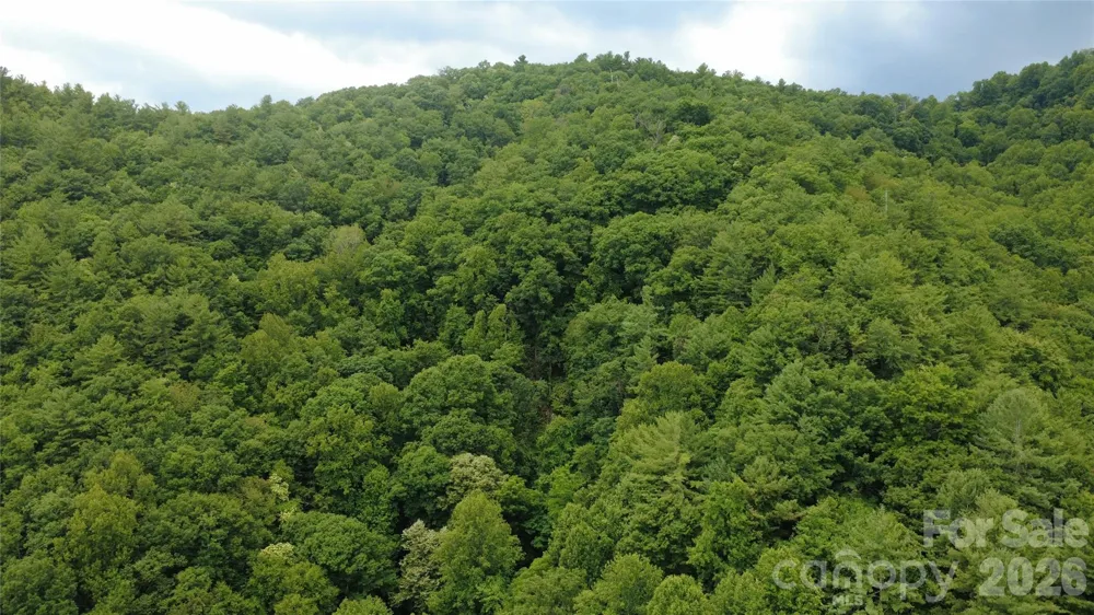 TBD Blowing Rock Road Lenoir, NC 28645