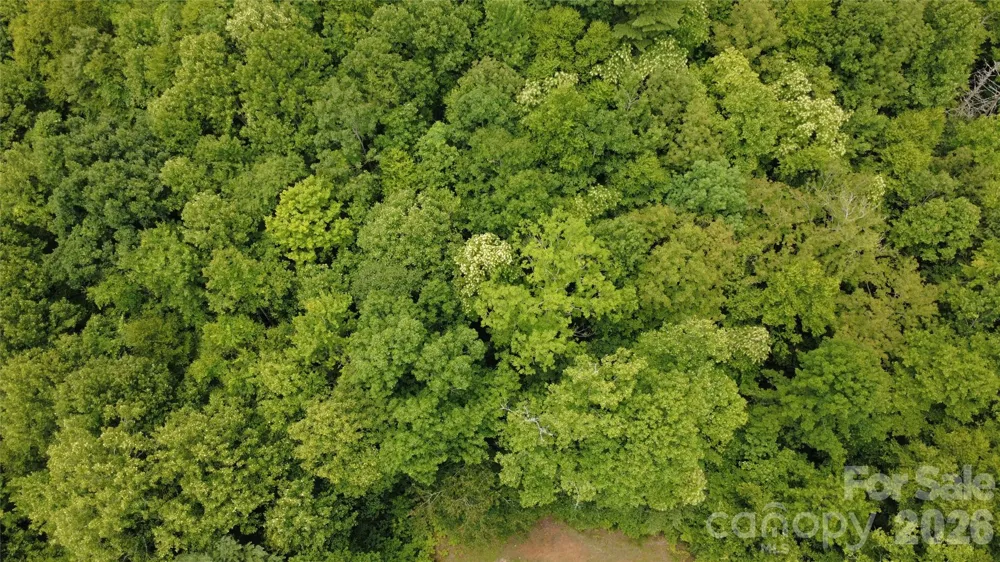 TBD Blowing Rock Road Lenoir, NC 28645