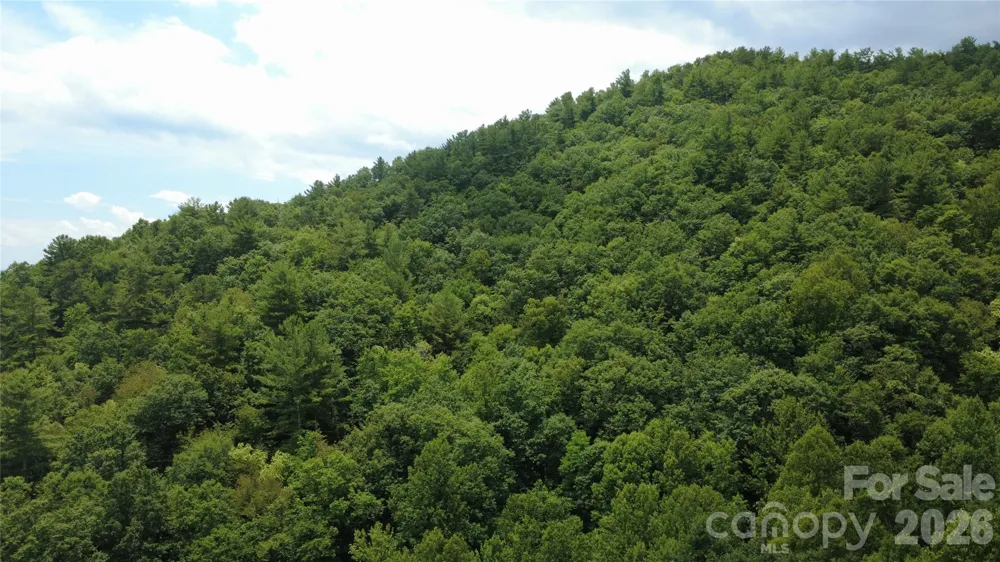 TBD Blowing Rock Road Lenoir, NC 28645