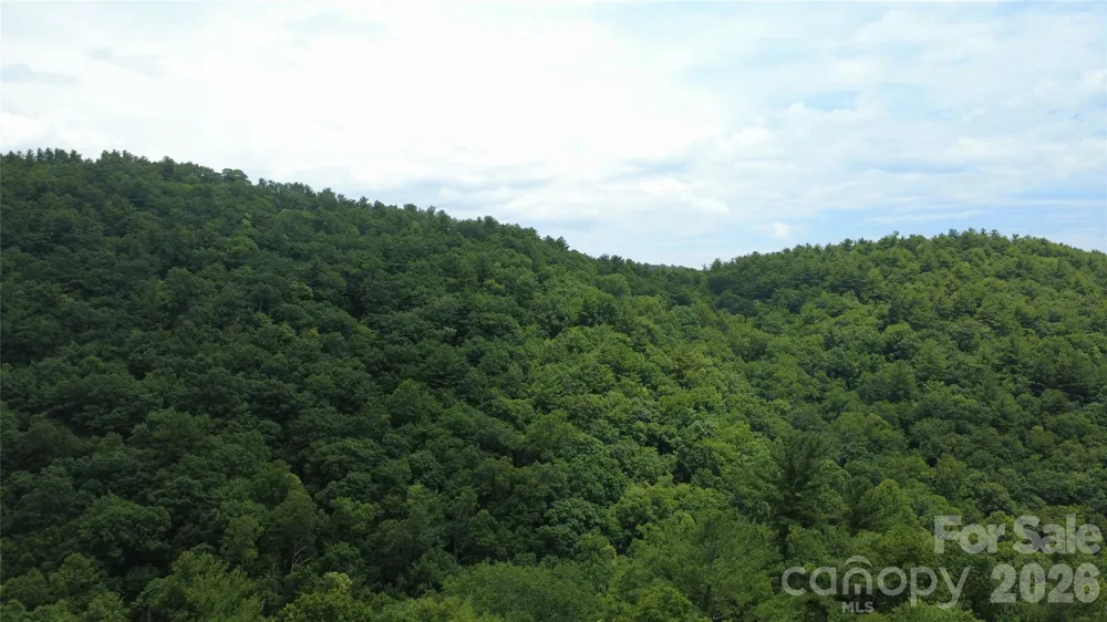 TBD Blowing Rock Road Lenoir, NC 28645
