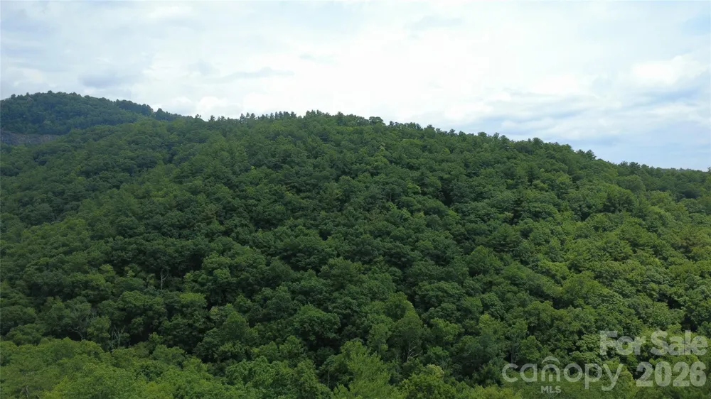 TBD Blowing Rock Road Lenoir, NC 28645