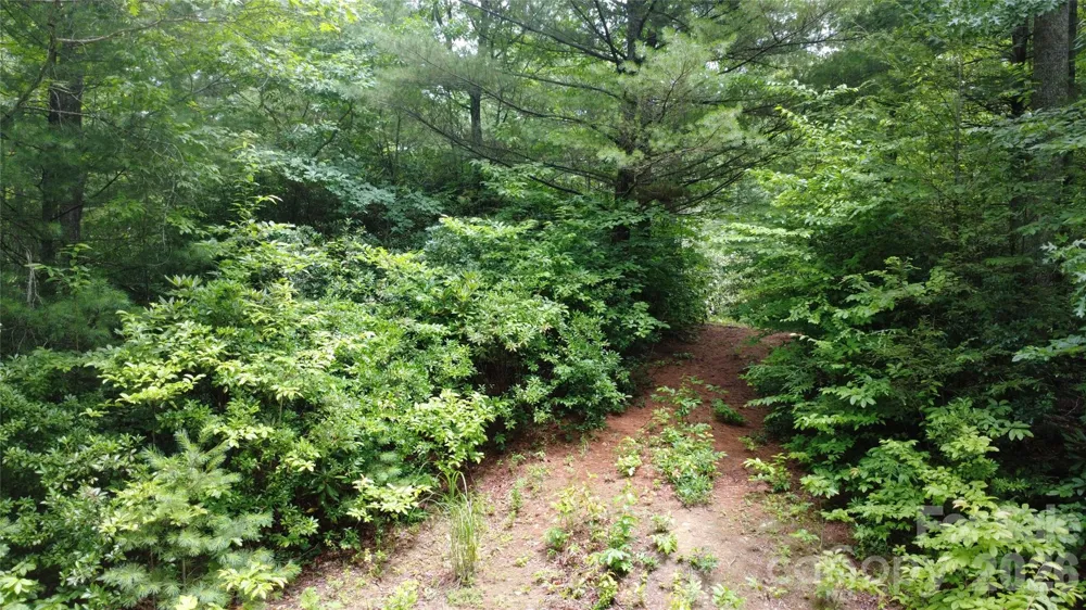 TBD Blowing Rock Road Lenoir, NC 28645