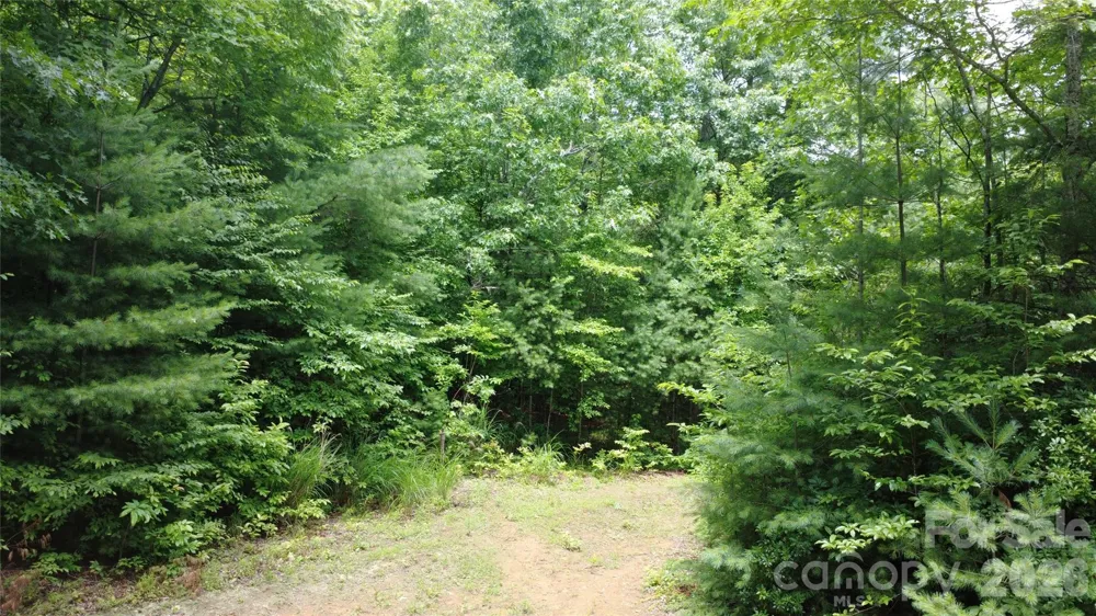 TBD Blowing Rock Road Lenoir, NC 28645