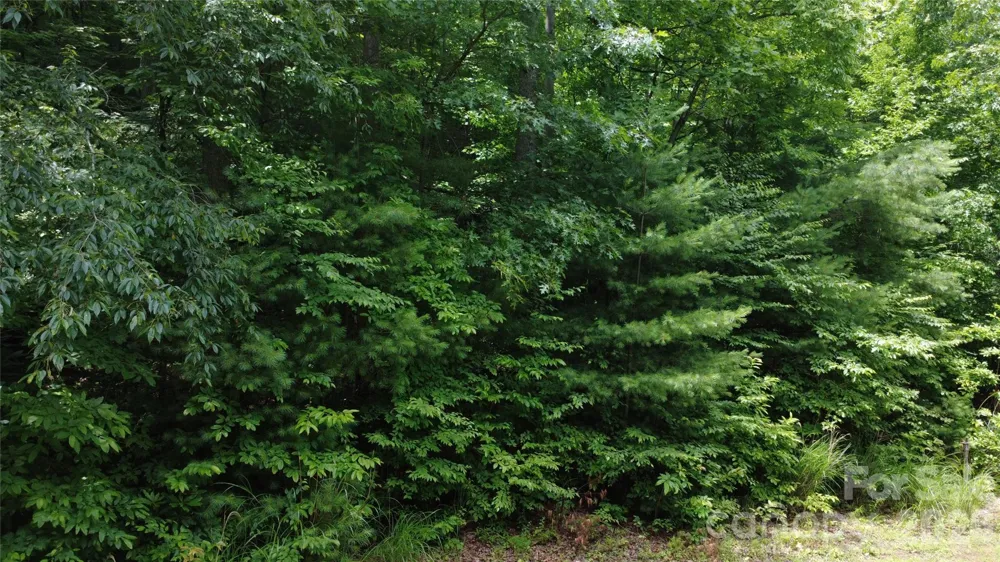 TBD Blowing Rock Road Lenoir, NC 28645