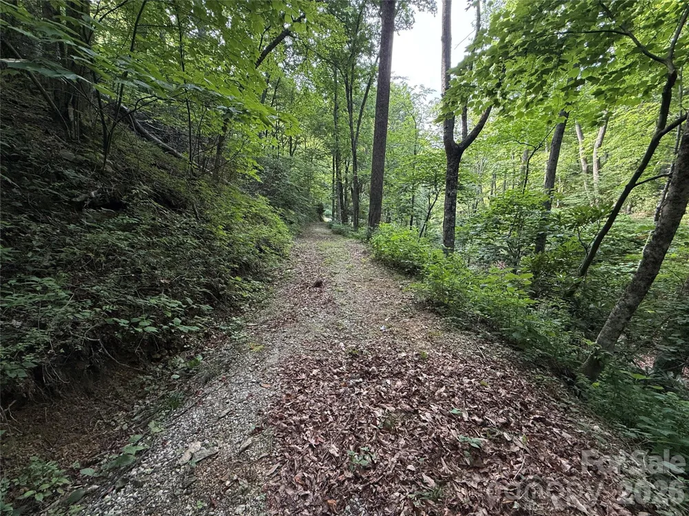 64 Clay View Drive Fairview, NC 28730