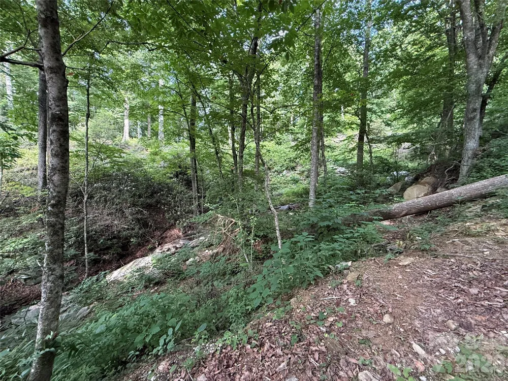 64 Clay View Drive Fairview, NC 28730
