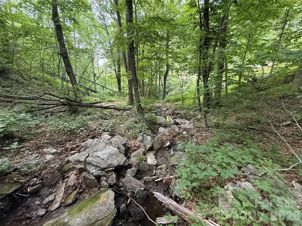 64 Clay View Drive Fairview, NC 28730