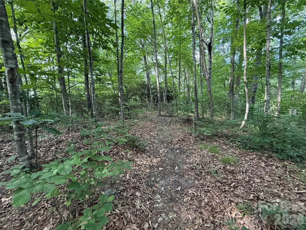 64 Clay View Drive Fairview, NC 28730