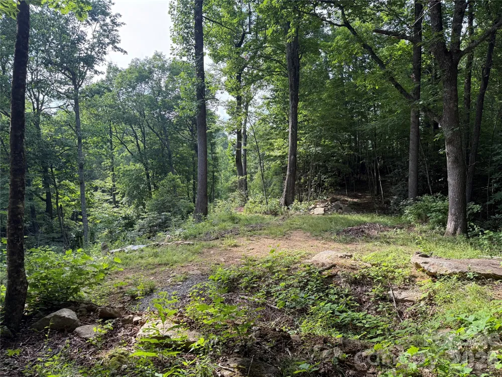 64 Clay View Drive Fairview, NC 28730